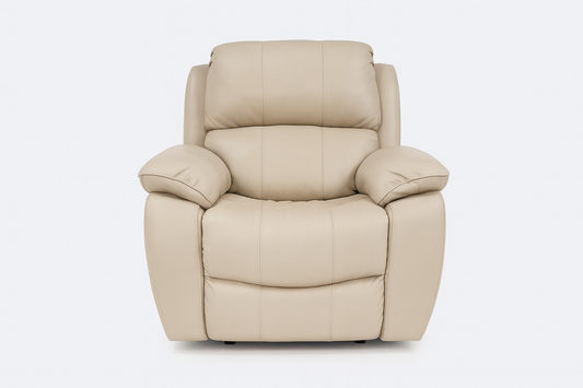 1238 - 1 SEATER RECLINER(ELECTRIC) - WFD