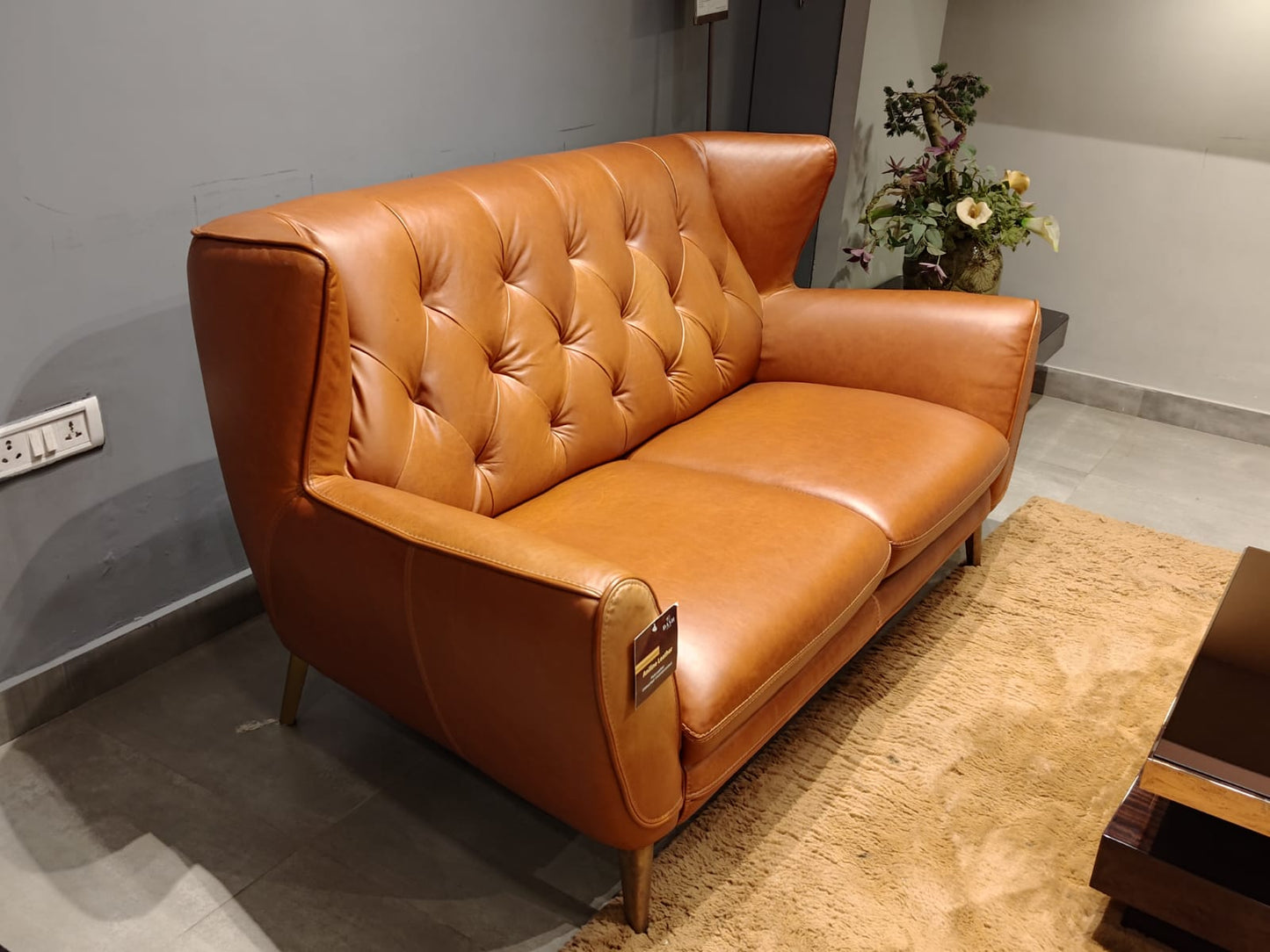 11740 - 2 SEATER - BWDD
