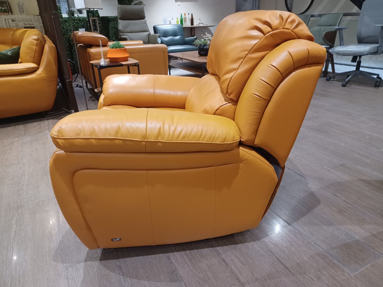 1238 - 1 SEATER GLIDER(MANUAL) - WFD